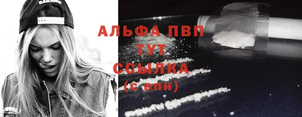 бошки Бородино