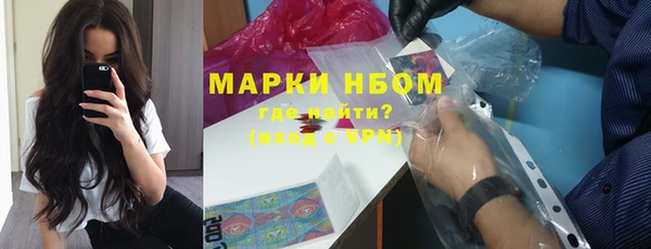 бошки Бородино