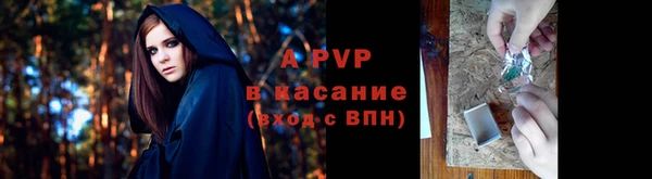 стафф Бронницы