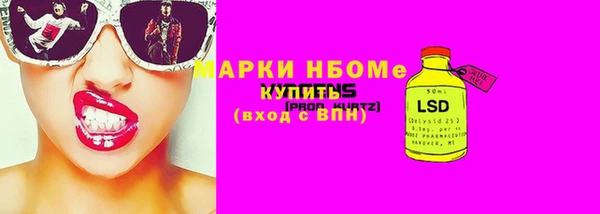 бошки Бородино