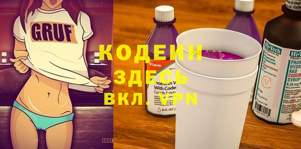 бошки Бородино