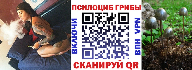 Галлюциногенные грибы Cubensis  omg ССЫЛКА  Лысьва  дарнет шоп 